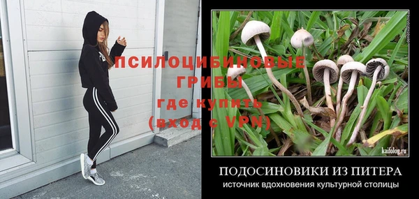 наркотики Абаза